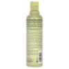 Pure Abundance Volumizing Shampoo by Aveda for Unisex - 8.5 oz Shampoo